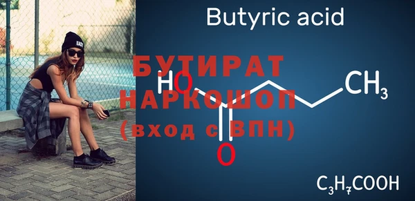 индика Инта