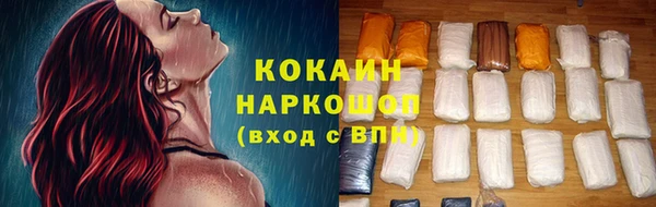 индика Инта