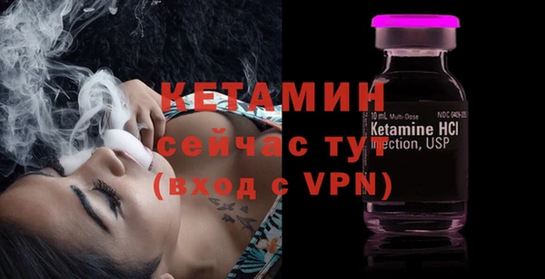 индика Инта