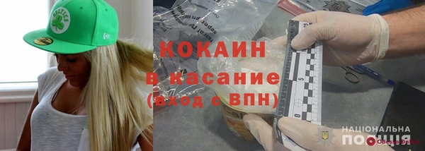 индика Инта