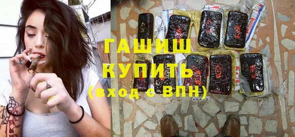 индика Инта