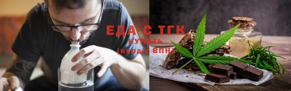 индика Инта