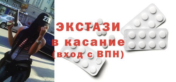 индика Инта