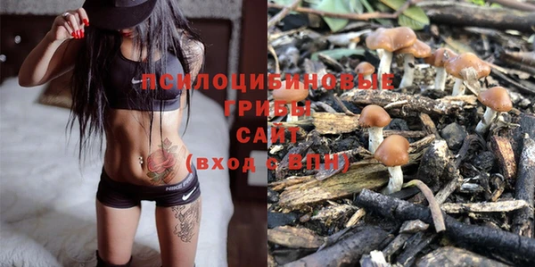 крисы Иннополис