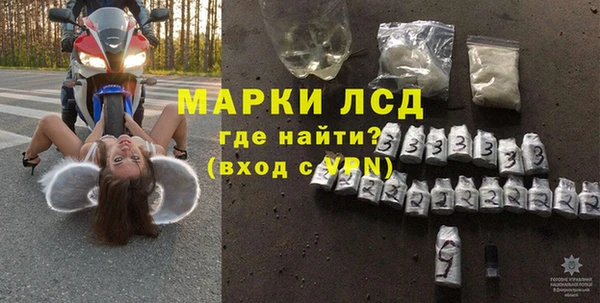индика Инта