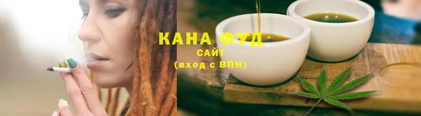 индика Инта
