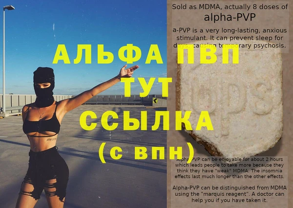 индика Инта