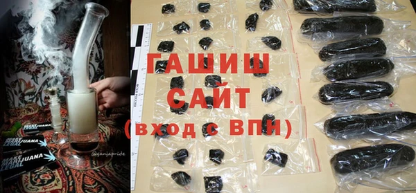 индика Инта