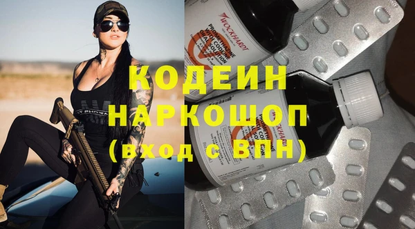 индика Инта