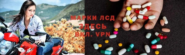 индика Инта