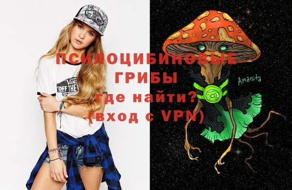 индика Инта