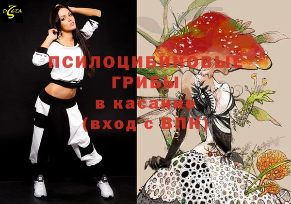 индика Инта
