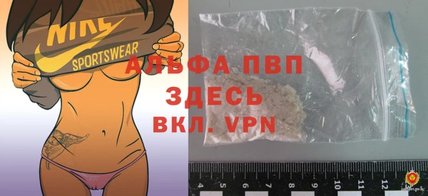 индика Инта