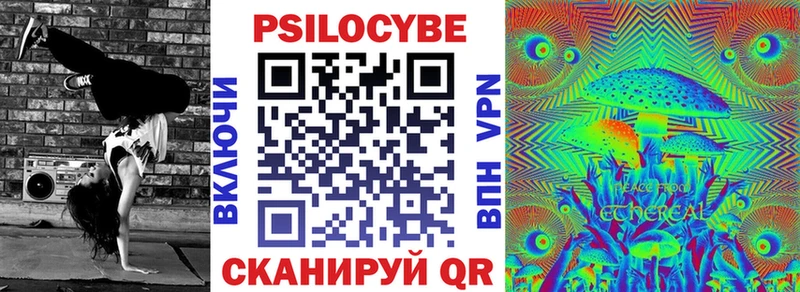 Псилоцибиновые грибы Psilocybe  Купить закладки  Павловск 